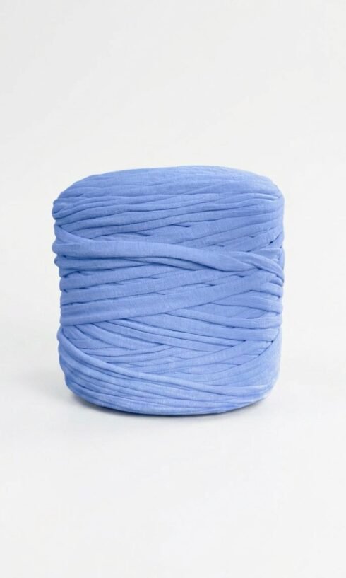 blue bobines top